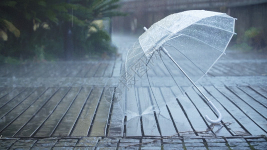 手捧水雨天路边的雨伞GIF高清图片