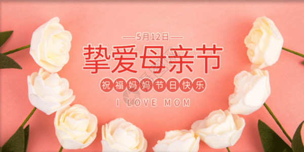 白玫瑰花语挚爱母亲节公众号封面配图GIF动画高清图片