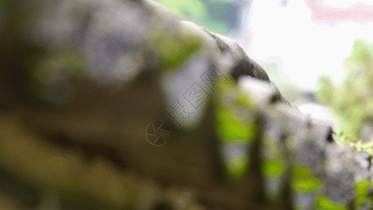 丽江观景台房屋拍摄GIF高清图片