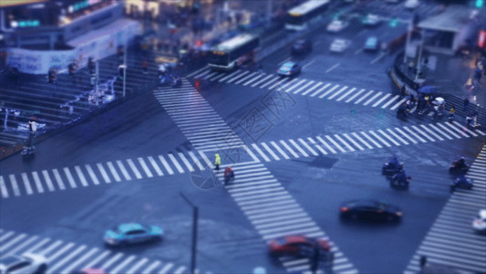 交通标线街道人群过马路GIF高清图片