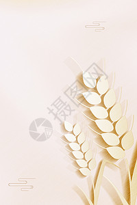 白色麦穗麦穗背景设计图片
