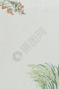 清新植物背景背景图片
