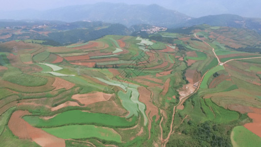 改良土壤云南东川红土地梯田航拍GIF高清图片