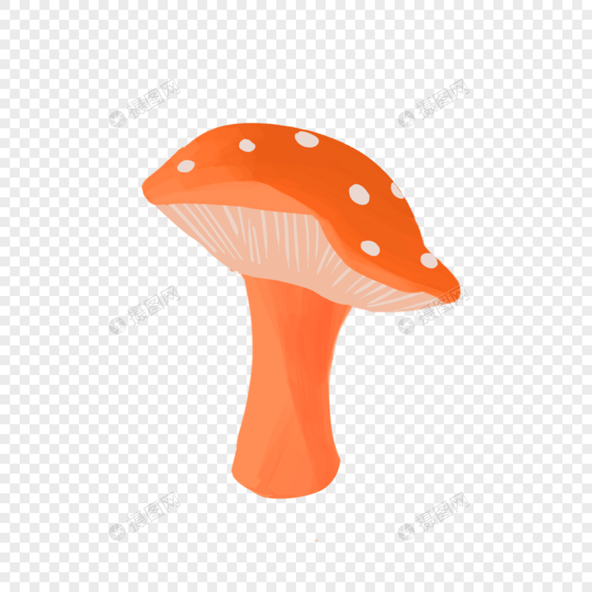 花蘑菇图片