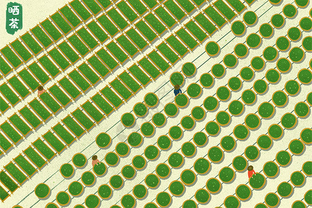 红茶茶叶素材茶园茶工工人夏天晒茶插画