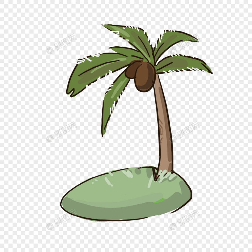 椰子树夏日清凉图片