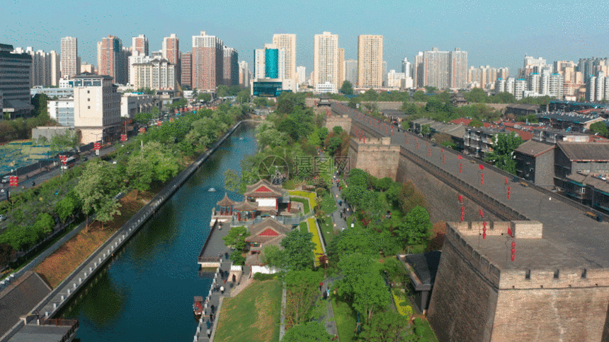 城市绿化GIF图片