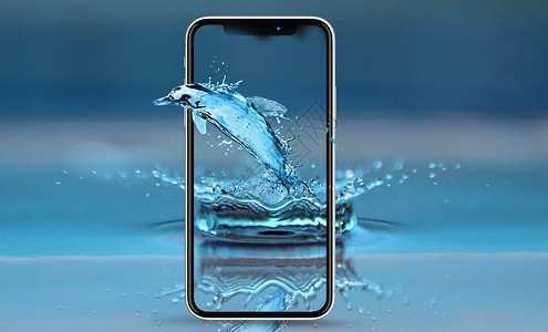 手机穿越穿越手机的海豚设计图片
