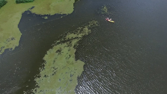 阿勒锦岛湿地公园湿地溪流GIF高清图片