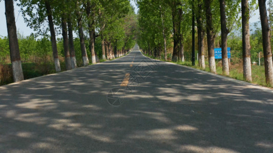 公路马路素材树林阳光GIF高清图片