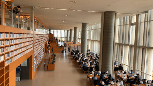 图书馆的人图书馆延时视频GIF高清图片