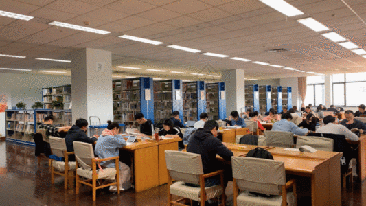 图书馆阅览室认真学习的人GIF图片