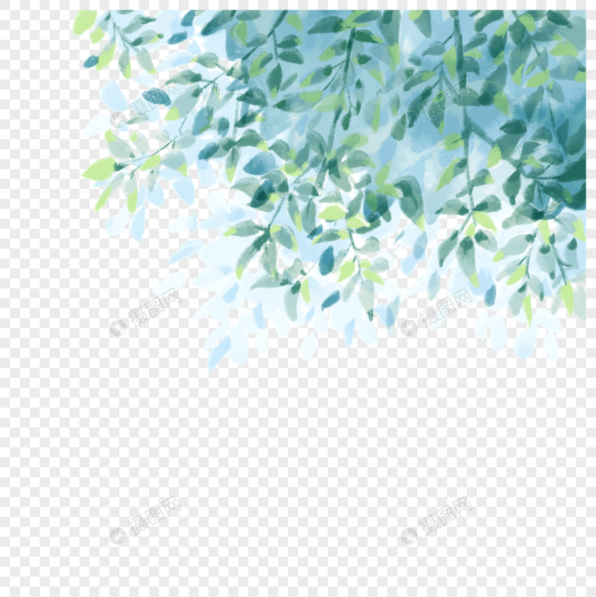 清新夏日树枝叶图片