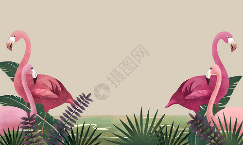 粉色火烈鸟ins风背景设计图片