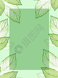绿色树叶背景背景图片