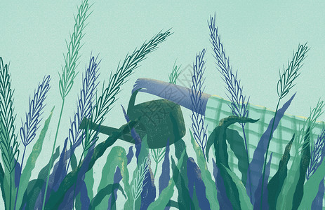 小麦发芽24节气背景海报插画