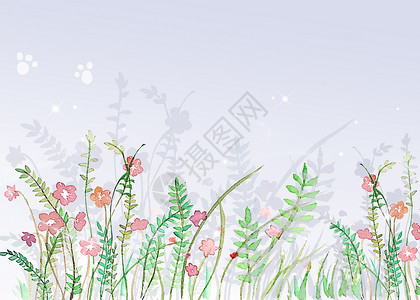 绿色的蝉紫蝉花插画