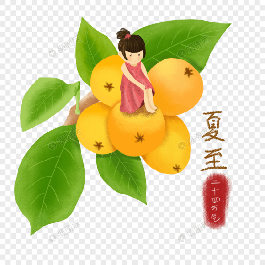 夏至插画元素夏至枇杷手写字体图片