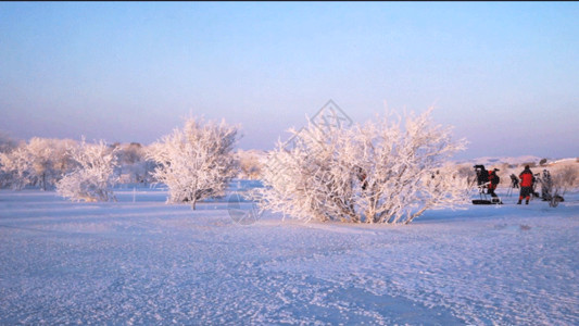 北国雪景北国风光gif高清图片