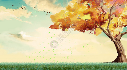 落叶草地秋天设计图片