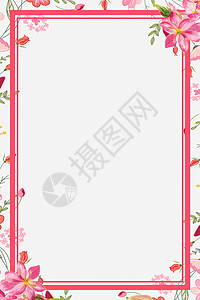 百合边框粉色花瓣背景设计图片