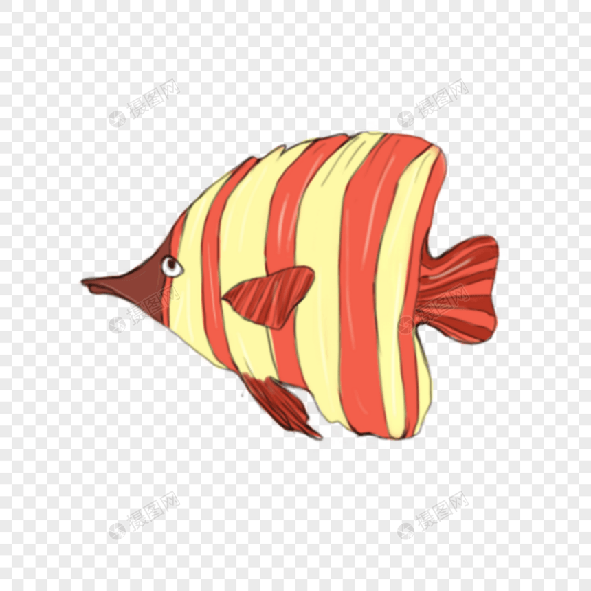彩色尖嘴条纹鱼图片