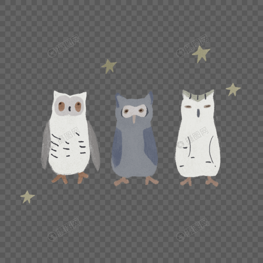 三只猫头鹰图片