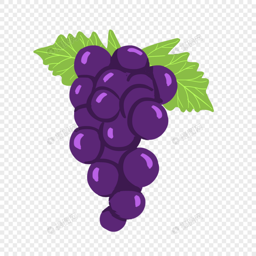 紫葡萄图片