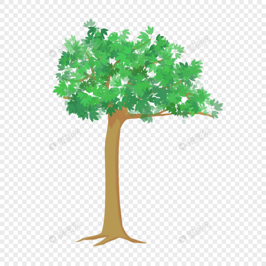 大树绿植图片
