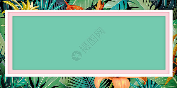 热带天堂绿色植物背景设计图片