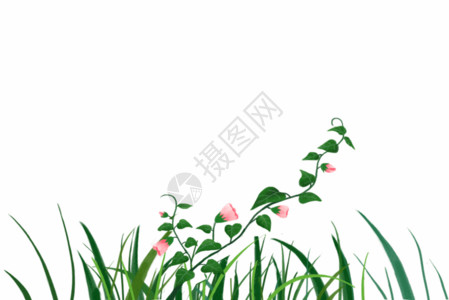 春季的草绿植 gif高清图片