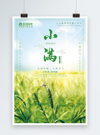 中国24节气小满节气海报模板