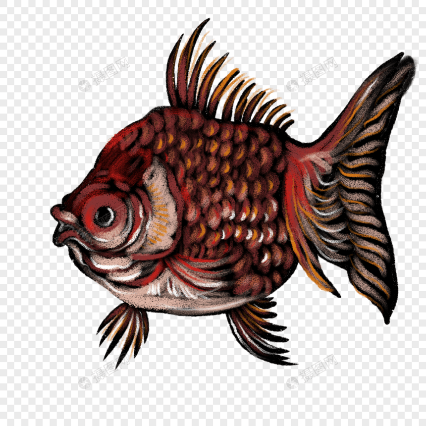 卡通创意红色热带鱼类图片