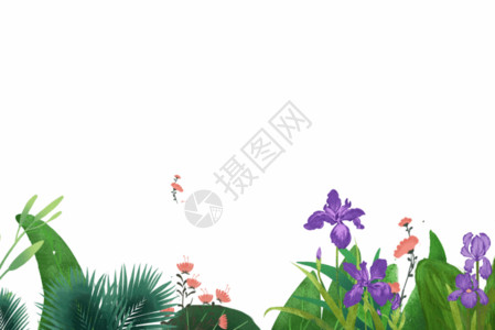 手绘水彩植被草丛gif高清图片