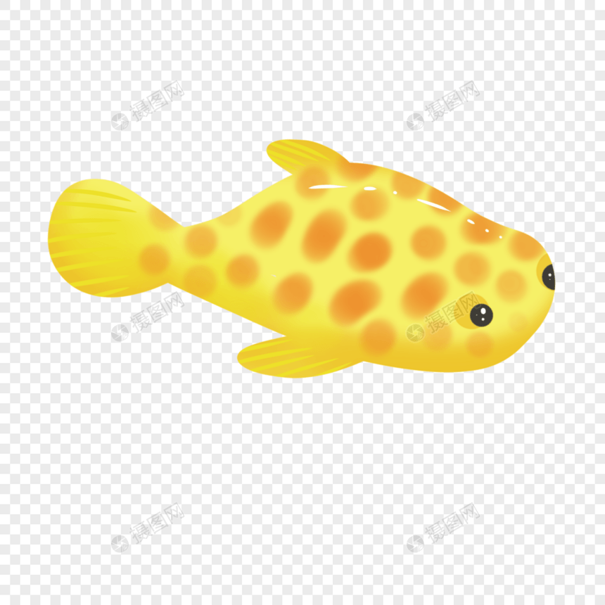 黄色斑点热带鱼图片