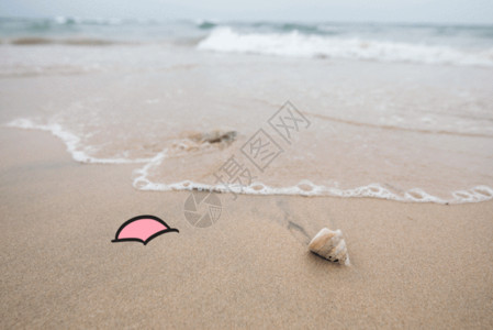 可爱贝壳创意摄影动图gif高清图片