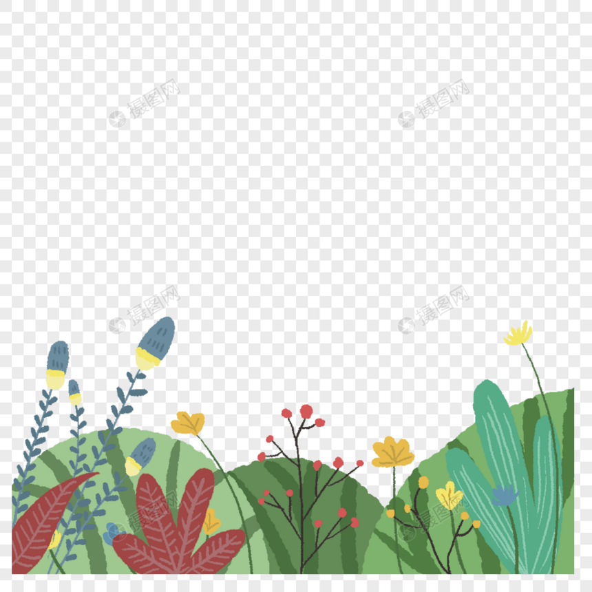 小清新植物花卉花草手绘插画图片