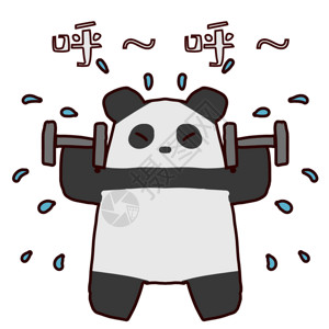 举杠铃表情包可爱熊猫锻炼表情包gif高清图片