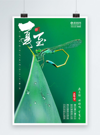 蜻蜓荧光素材绿叶夏至二十四节气海报模板