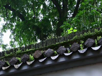 墙壁上的植物古建筑屋檐系列GIF高清图片