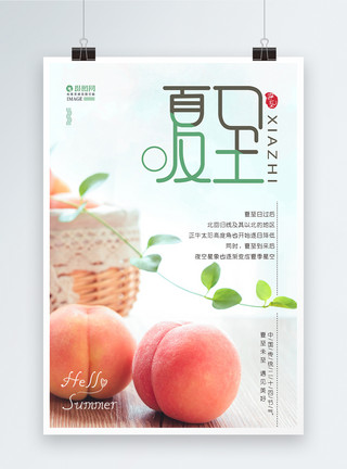 单个水果素材夏至二十四节气海报模板