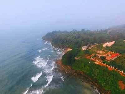 俯瞰森林海岛海岸森林潮汐航拍GIF高清图片