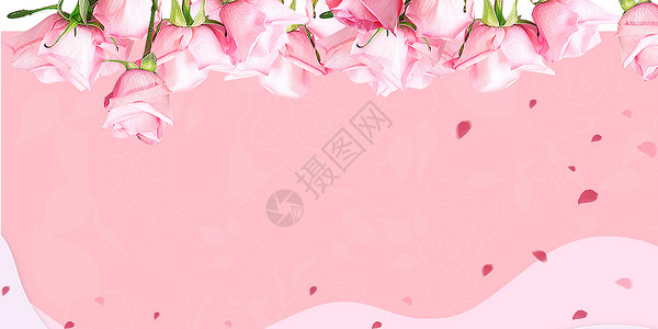 鲜花生芽粉色花瓣背景设计图片