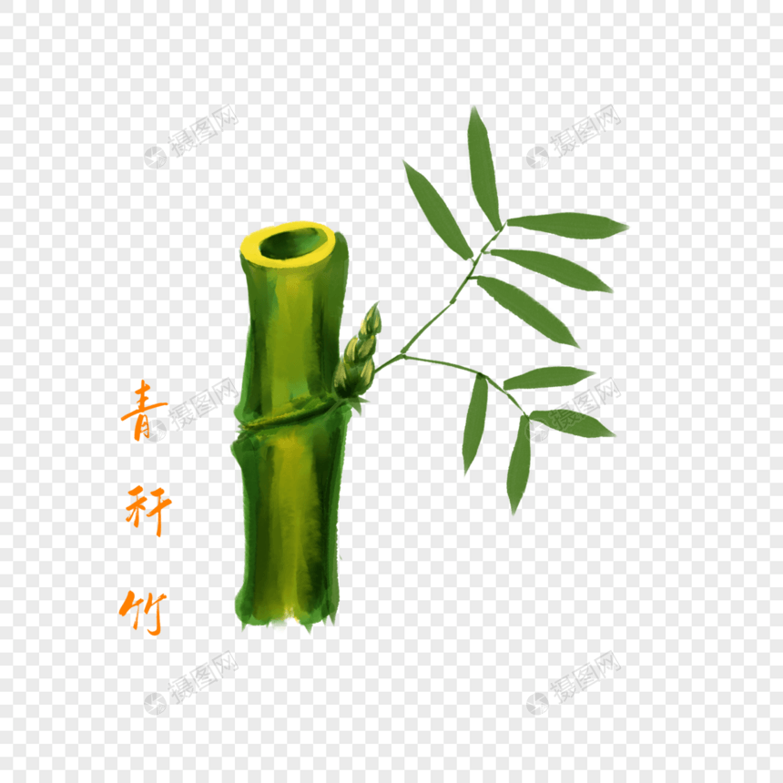 卡通药材青秆竹插图图片