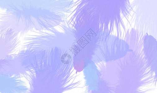 紫色清新羽毛清新羽毛背景设计图片