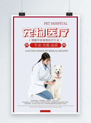 设计狗宠物医疗海报模板