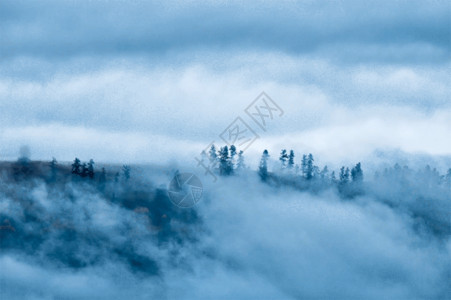 新疆旅游宣传单新疆禾木山间云雾森林水墨画gif动图高清图片