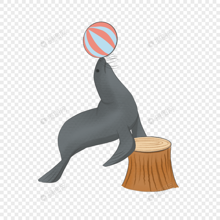 玩球表演的海洋动物海狮图片