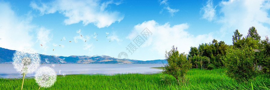 风景湖边草地背景设计图片