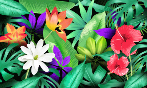 小清新热带植物热带植物花卉茶壶插画gif动图高清图片